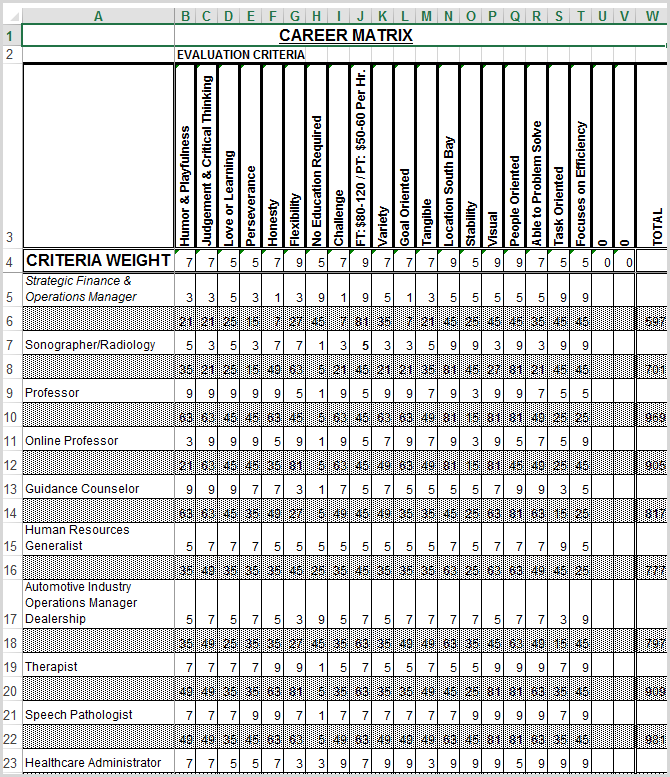 Career Matrix Example